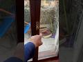 THANOS di SQUID GAME MI CHIUDE FUORI NEL BALCONE!! #giox97 #shorts #squidgame #horror #thanos #paura
