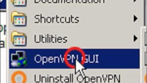 Hide your IP with OpenVPN + TorVPN