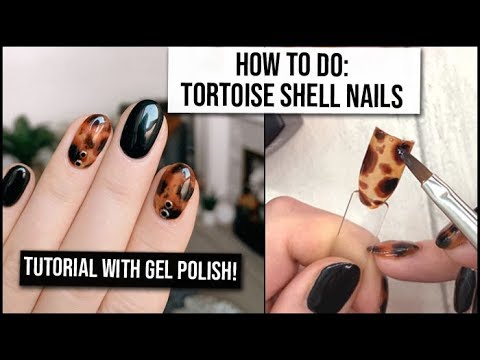 Video: Torteiseshell Mačke