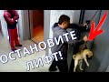 РОДИЛИСЬ В РУБАШКЕ! Топ 10 случаев КОГДА РЕАЛЬНО ПОВЕЗЛО! Кузница Фактов.