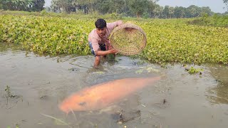 Amazing!! Fishing By Bamboo Tools Polo Trap In Pond Water. Fishing Video 2023 Part-2.