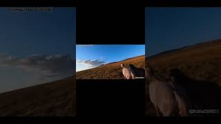 Oy Oy Emi̇ne Çekme Beni̇ Yemi̇ne Kurtçesi̇ Orjinali . Belengaz Oy Oy Sosinê