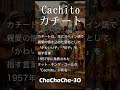 カチート2.Cha30