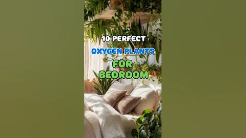 Top 10 Oxygen Plants for Your Bedroom 🌿 | Sleep Better Naturally! #shorts #plants #garden