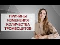 Тромбоциты. Причины изменения количества тромбоцитов.