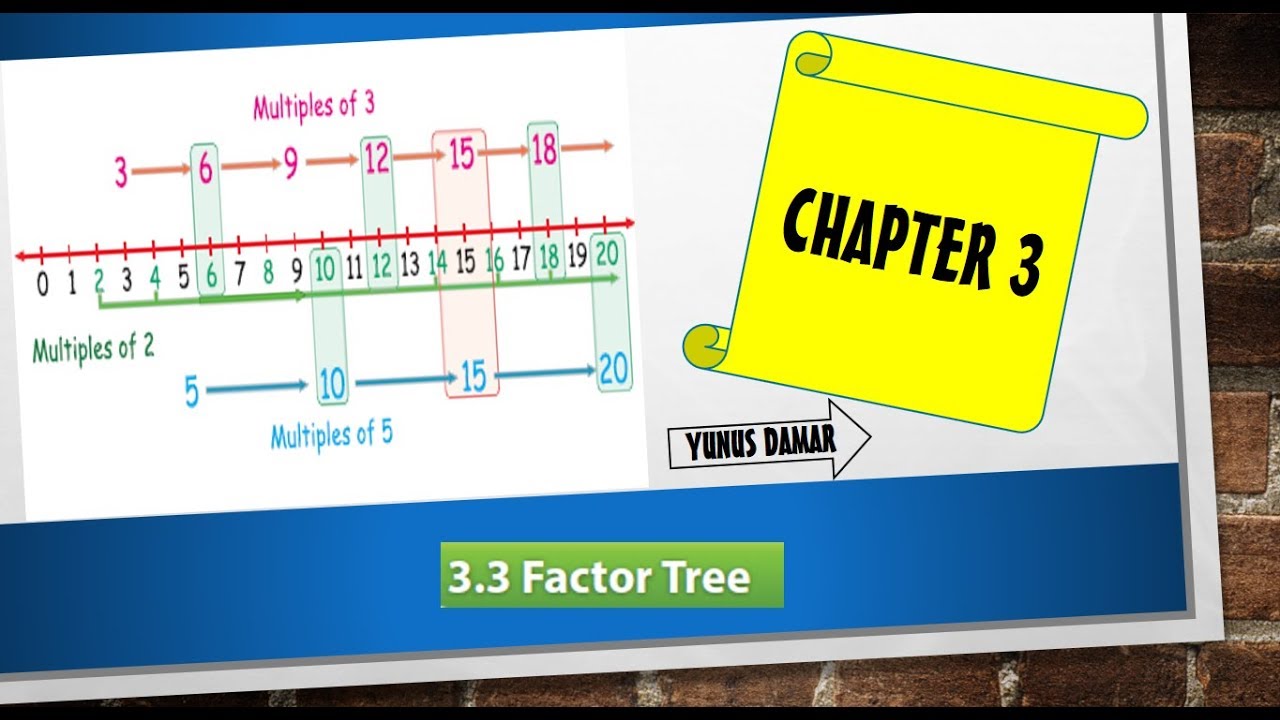 3.3 Factor Tree - YouTube