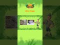 Capybara | Fun Facts | Leo the Wildlife Ranger #shorts #animals #education #kids