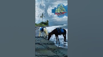 من روائع التلاوة (  سورة العاديات)#قرآن_كريم_راحة_نفسية_ارح_سمعك_وقلبك #اكسبلور