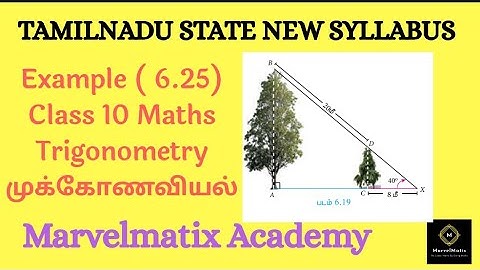 10th standard Maths class Example 6.25 chapter 6 Trigonometry sums TN xth maths #marvelmatixacademy