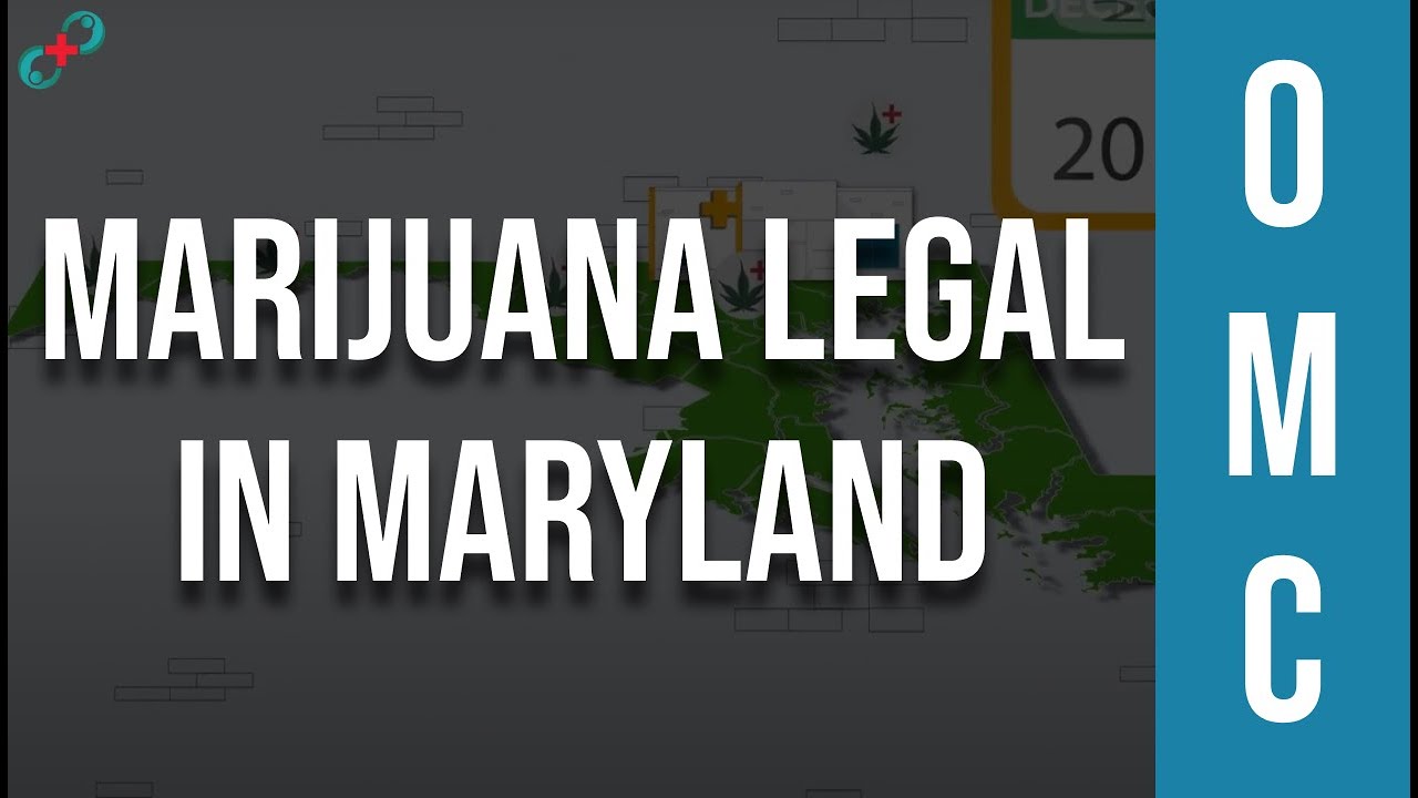 Is Marijuana Legal in Maryland? Expectations vs Reality YouTube