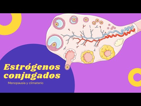 Video: ¿De dónde vienen los estrógenos conjugados?