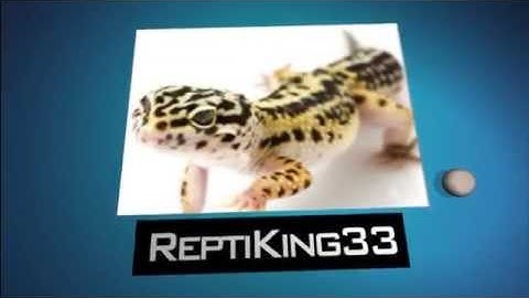 My youtube intro - Created using Flixpress.com