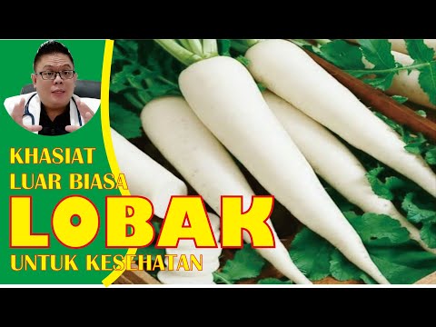 Video: Penggunaan Lobak Hitam - Tips Bermanfaat Menumbuhkan Lobak Hitam