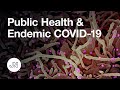 Public Health in an Era of Endemic COVID-19