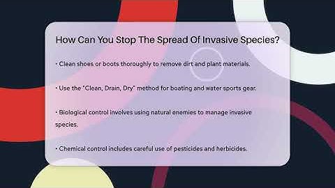 How Can You Stop The Spread Of Invasive Species? - Ecosystem Essentials