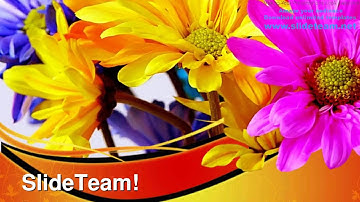 Daisies Flower Nature PowerPoint Templates Themes And Backgrounds ppt designs