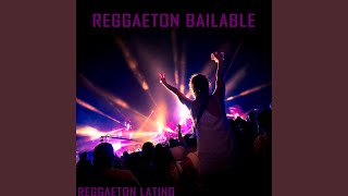 Aloha - Reggaeton Latino