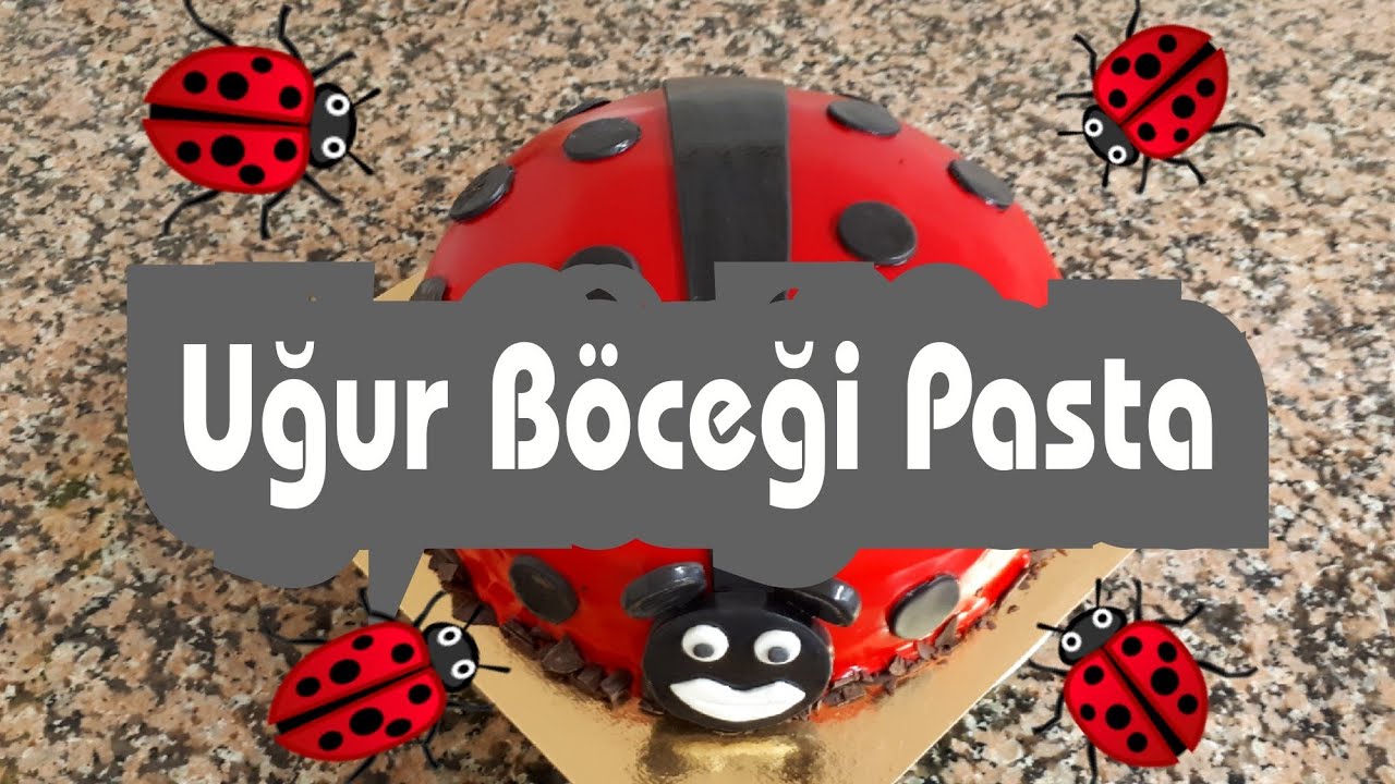 Çikolatalı Uğur Böceği Görünümlü Pasta Yapımı 🐞🎂 YouTube