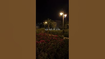 اذ يقول لصاحبه لا تحزن ان الله معنا... 🥺🤍----القارئ فارس عباد 🍂🧡.. #quran