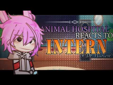 Animal Hospital React to Intern (+ Doctor Harlow) | 2X | WxlfieEditz
