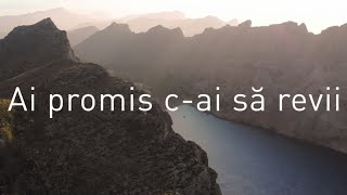 Video thumbnail of "Ai promis c-ai să revii (Cover)| Familia Vasiu"