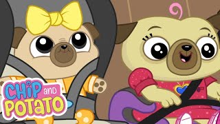 Chip and Potato | Chip's School Trip // Big Sister Chip | Cartoons For Kids | WildBrain Wonder by WildBrain Wonder 16,386 views 3 weeks ago 22 minutes