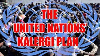 The United Nations' Kalergi Plan