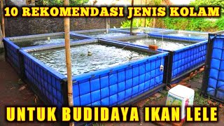 10 Rekomendasi Kolam Untuk Budidaya Ikan Lele