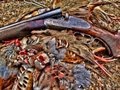 SHOOTING RED LEGGED PARTRIDGE IN SPAIN - www.reivaxfilms.net - www.reivaxfilms.com