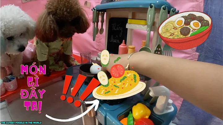 EP. 3: THE CAT MAKING FOOD FOR THE CUTEST POODLE DOG IN THE WORLD| CUTEST POODLE IN THE WORLD