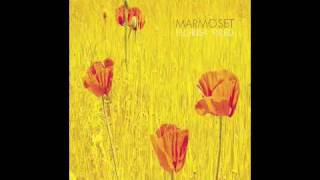 Video thumbnail of "Marmoset - Pass it along"