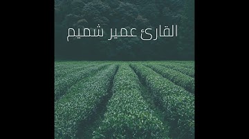 القرآن الكريم - القارئ عمير شميم - اجمل تلاوة