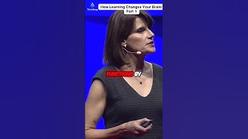 Unlock the Secrets of Your Brain