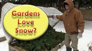 3 Reasons Why SNOW Is Good For Your GARDEN!