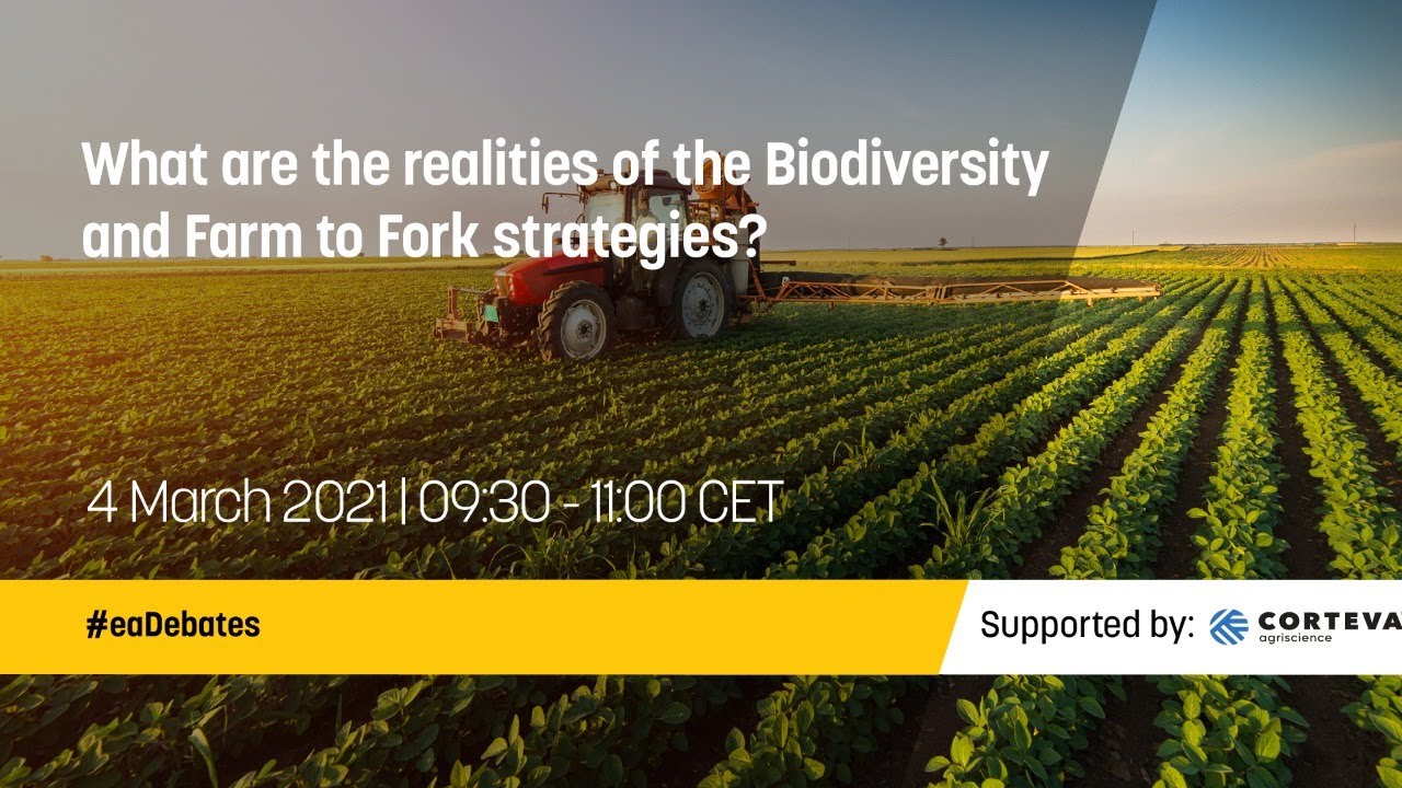 What are the realities of the Biodiversity and Farm to Fork strategies?