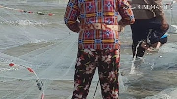 Kéo lưới bắt cá biển đà nẵng