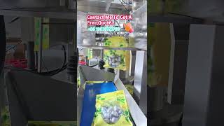 Rotary Pre-made Pouch Nut Packaging Machine | Multi-Head Weigher Packer