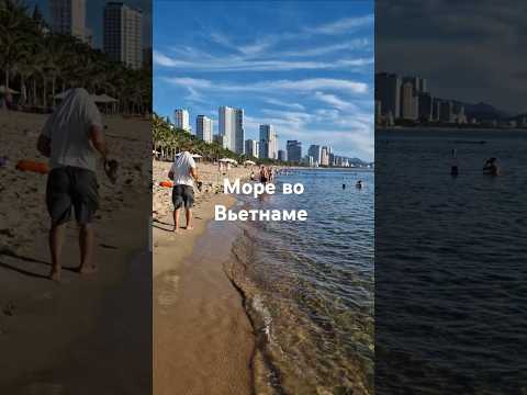 Пляжный сезон в Нячанге Чистое море в Нячанге? Можно с детьми в Нячанг? #пляж #море #нячанг2025 #тур
