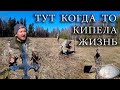 ТУТ КОГДА ТО КИПЕЛА ЖИЗНЬ. КОП НА ЛЕСНОЙ ПОЛЯНЕ.