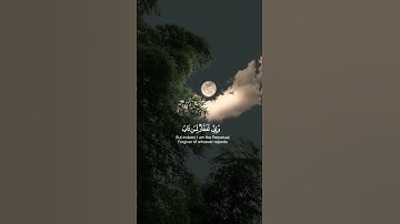 أية صغيرة تريح الاعصاب #قرآن_كريم #قرآن_كريم #تلاوة_خاشعة #تلاوة_خاشعة #قرآن #تلاوة_مميزة #عبدالرحمن