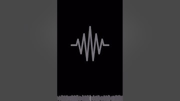 LUNCHBOX - New Snippet (Unreleased)