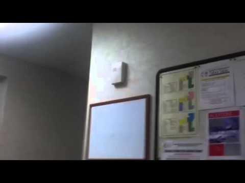 Westminster Chime Doorbell Youtube
