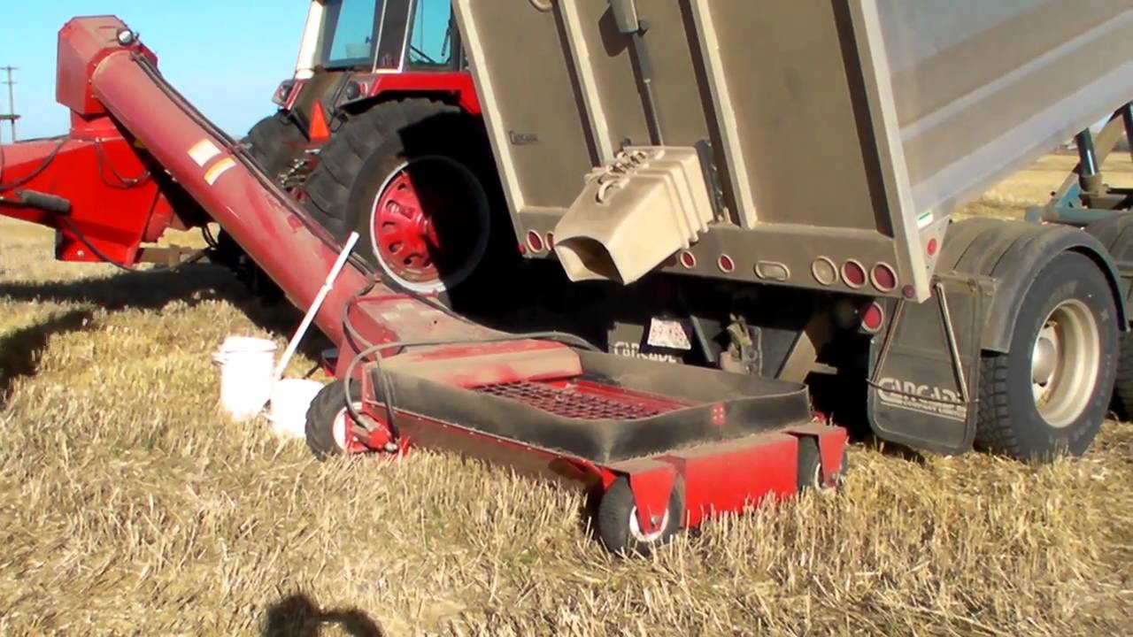Unloading wheat into the bin YouTube