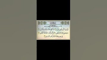 #القرآن_الكريم سورة المسد