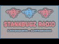 Ilovecomputergirl On Noise Junky Radio Presented By Stankbugz mp3