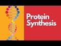Protein Synthesis Quiz
