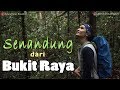 Bukit raya tertinggi di kalimantan