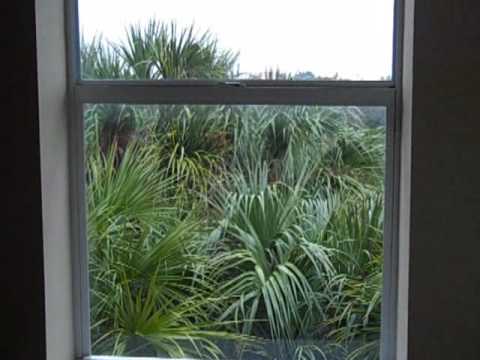 Sabal Ridge #117 part 2.wmv