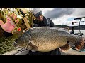 Giant murray cod lures for giant freshwater fish