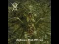 ÆVANGELIST - Nightmare Flesh Offering